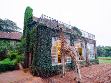 Travelspot: Giraffe Manor (foto via Shutterstock)