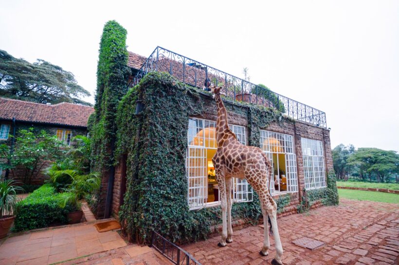 Travelspot: Giraffe Manor (foto via Shutterstock)