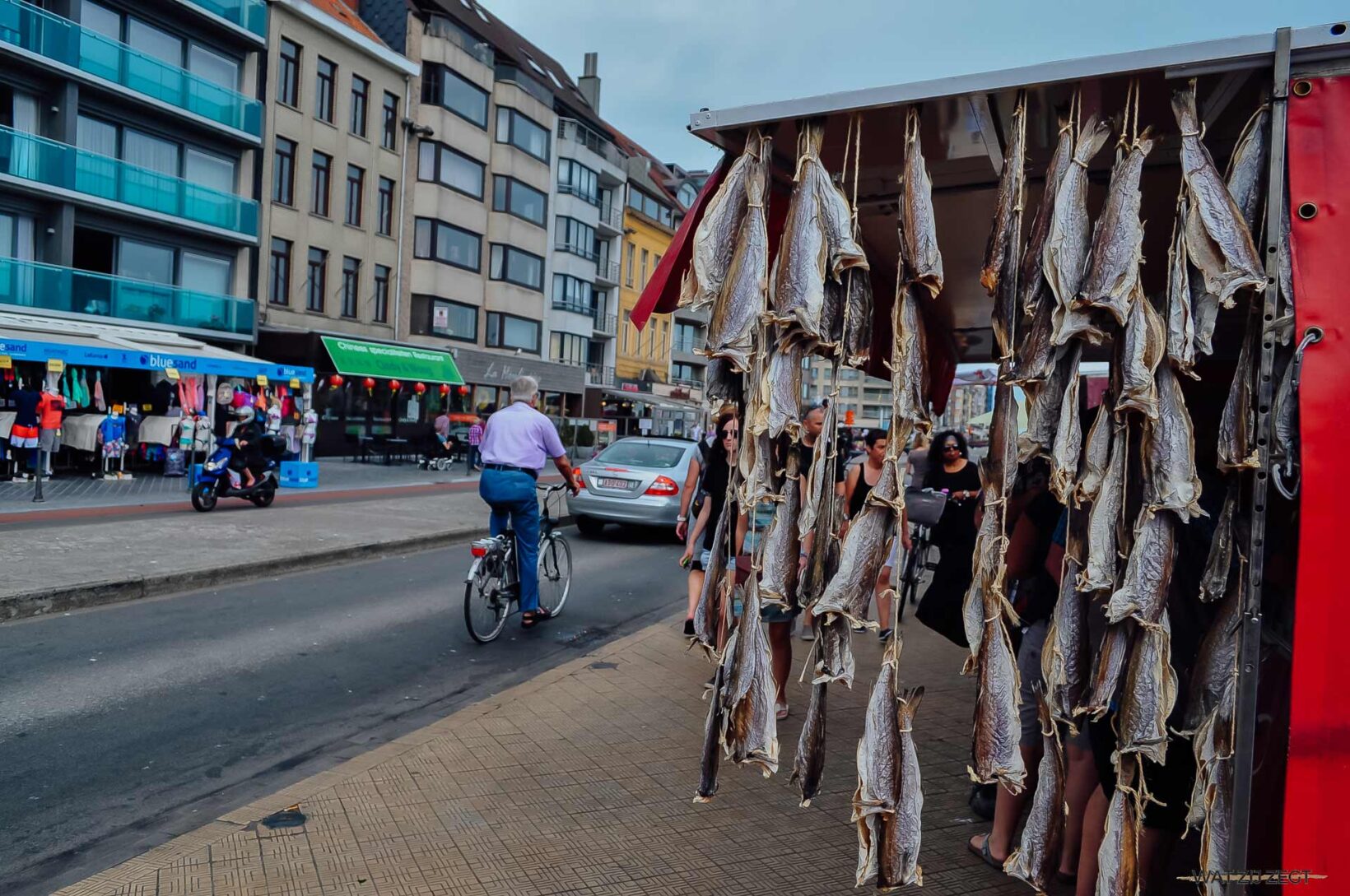 Wat te doen in Oostende: Oostende city guide | WAT ZIJ ZEGT