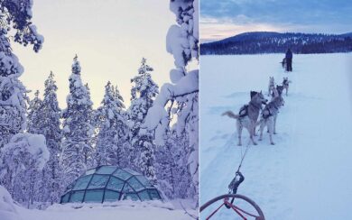 Waarom een huskytocht in Lapland toffer is dan slapen in een glazen iglo