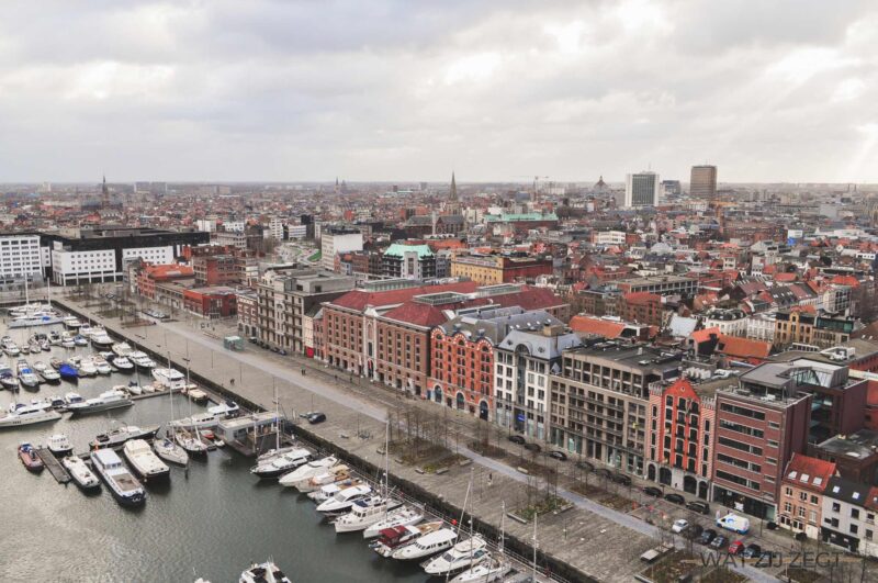 kruis Zogenaamd Onafhankelijk Wat kun je (gratis) doen in Antwerpen: leukste tips | WAT ZIJ ZEGT