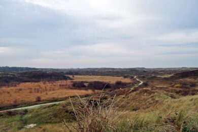 Lange wandelingen en fietstochten door het ruige landschap van Texel