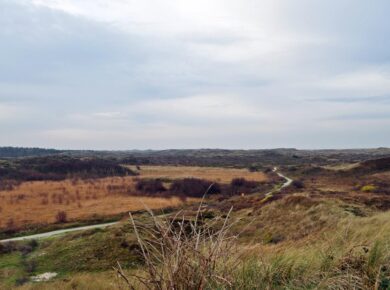 Lange wandelingen en fietstochten door het ruige landschap van Texel